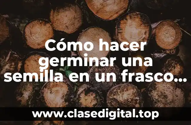 Cómo hacer germinar una semilla en un frasco de vidrio