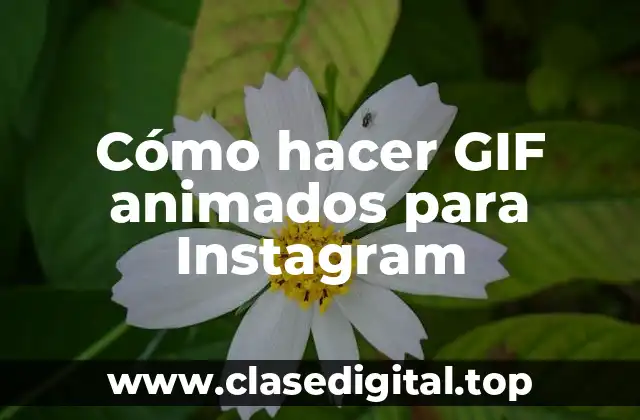 Cómo hacer GIF animados para Instagram
