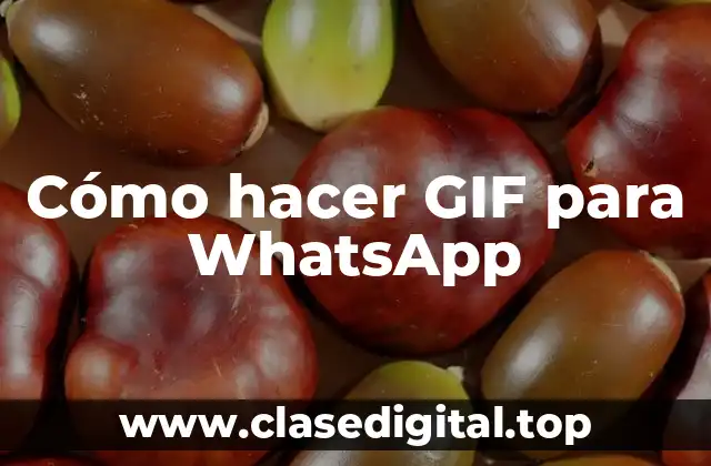 Cómo hacer GIF para WhatsApp