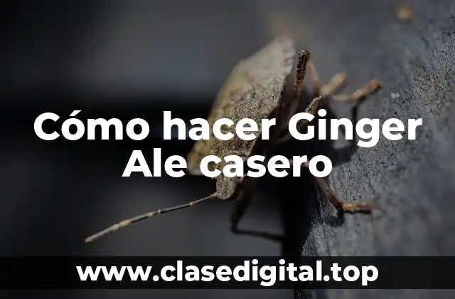 Cómo hacer Ginger Ale casero