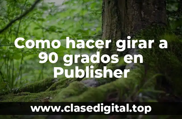 Como hacer girar a 90 grados en Publisher