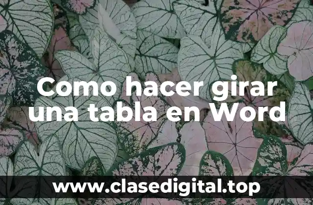 Como hacer girar una tabla en Word