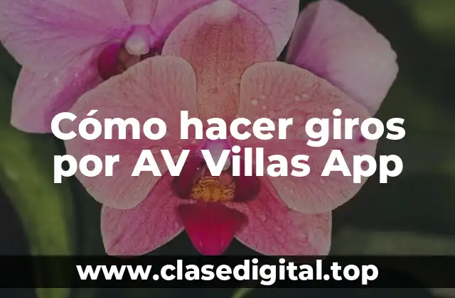 Cómo hacer giros por AV Villas App