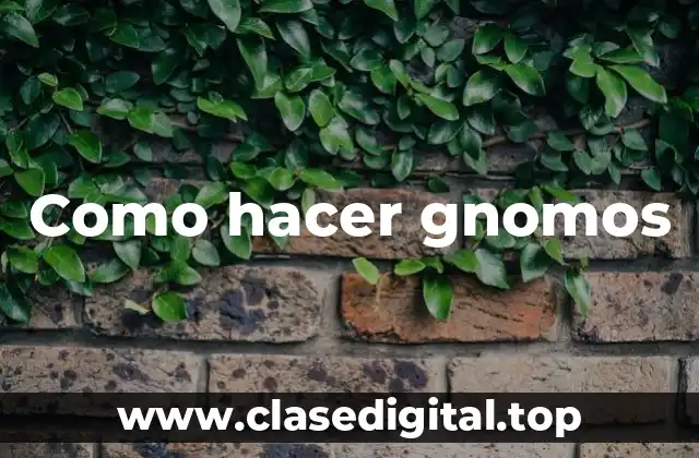 Como hacer gnomos