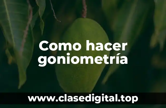 Como hacer goniometría