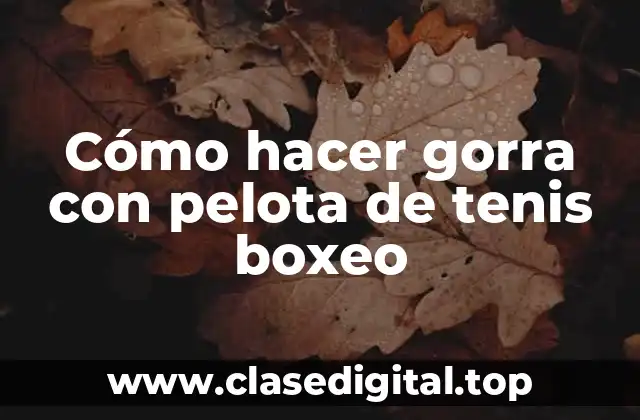 Cómo hacer gorra con pelota de tenis boxeo