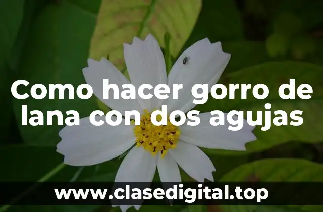 ¿Qué es un gorro de lana con dos agujas?