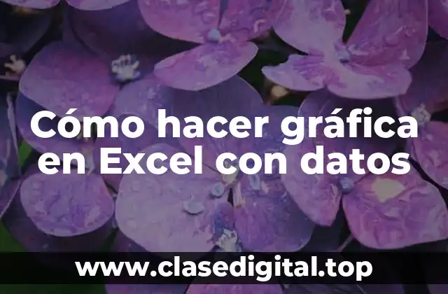 Cómo hacer gráfica en Excel con datos