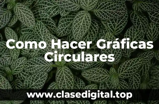 Como Hacer Gráficas Circulares