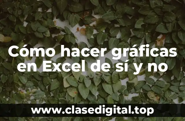 Cómo hacer gráficas en Excel de sí y no