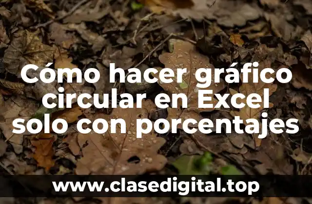 Cómo hacer gráfico circular en Excel solo con porcentajes