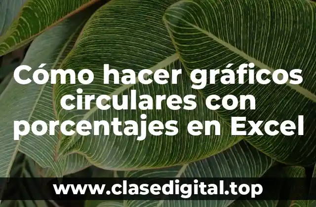 Cómo hacer gráficos circulares con porcentajes en Excel