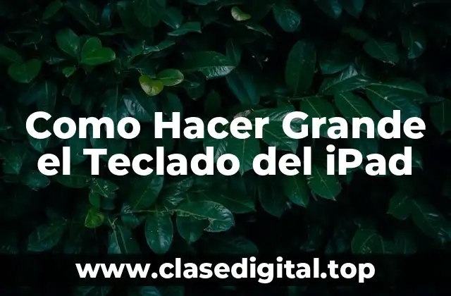 Como Hacer Grande el Teclado del iPad