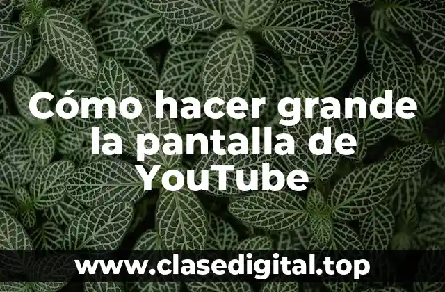 Cómo hacer grande la pantalla de YouTube