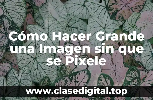 Cómo Hacer Grande una Imagen sin que se Pixele