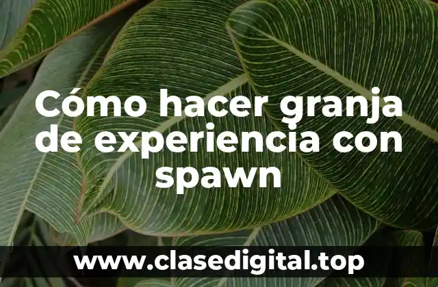 Cómo hacer granja de experiencia con spawn