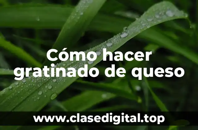 Cómo hacer gratinado de queso