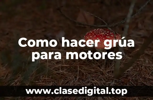 Como hacer grúa para motores
