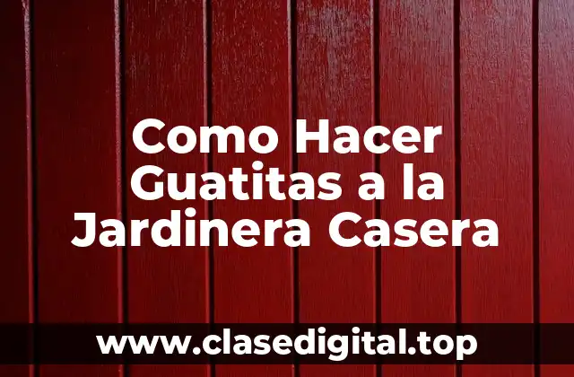 Como Hacer Guatitas a la Jardinera Casera