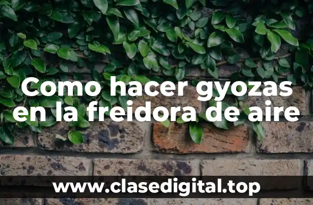 Como hacer gyozas en la freidora de aire