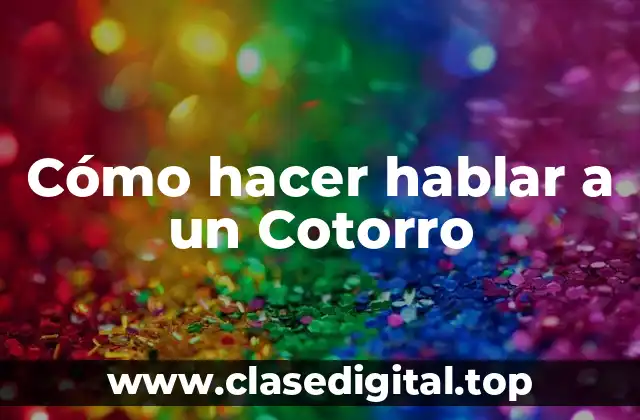 Cómo hacer hablar a un Cotorro