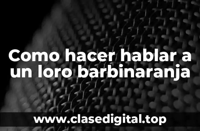 Como hacer hablar a un loro barbinaranja