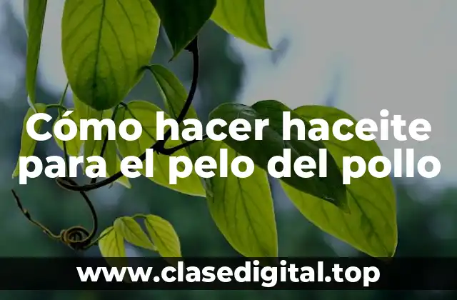 Cómo hacer haceite para el pelo del pollo