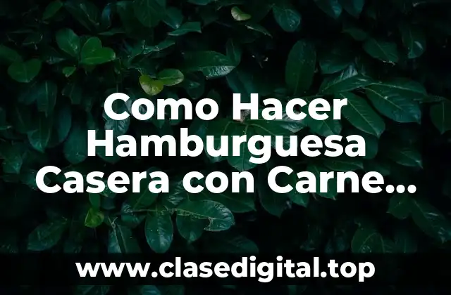 Como Hacer Hamburguesa Casera con Carne Picada