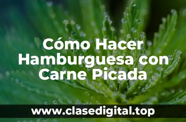 Cómo Hacer Hamburguesa con Carne Picada