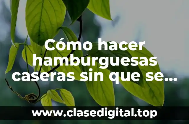 Cómo hacer hamburguesas caseras sin que se rompan