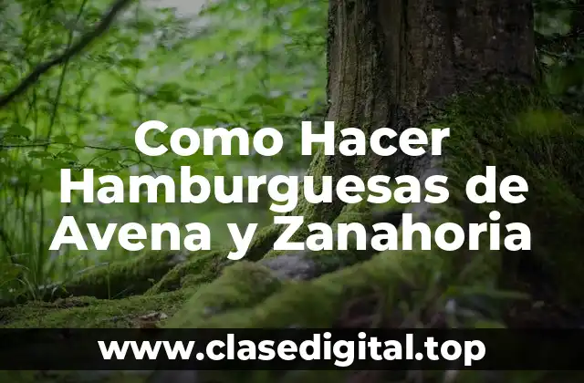 Hamburguesas de Avena y Zanahoria: ¿Qué son y para qué sirven?