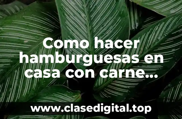 Como hacer hamburguesas en casa con carne molida
