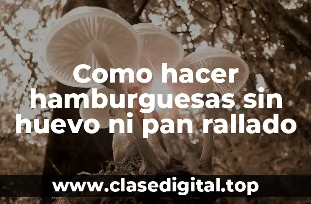 Como hacer hamburguesas sin huevo ni pan rallado