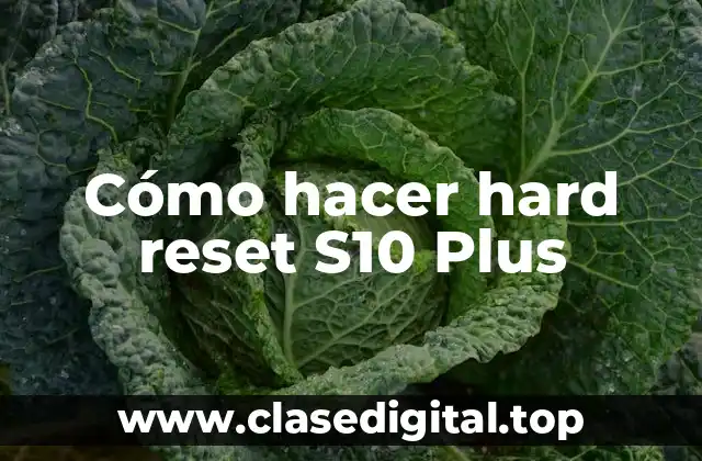 Cómo hacer hard reset S10 Plus