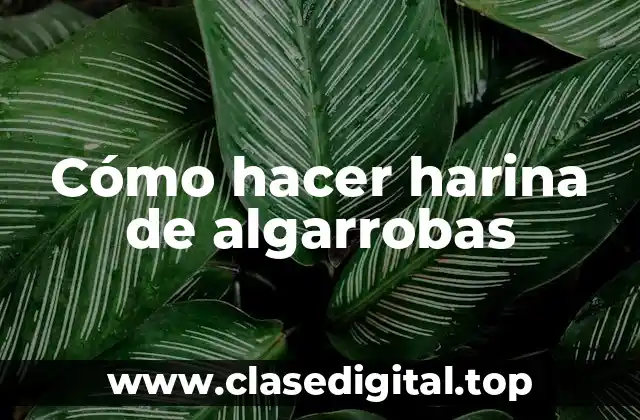 Cómo hacer harina de algarrobas