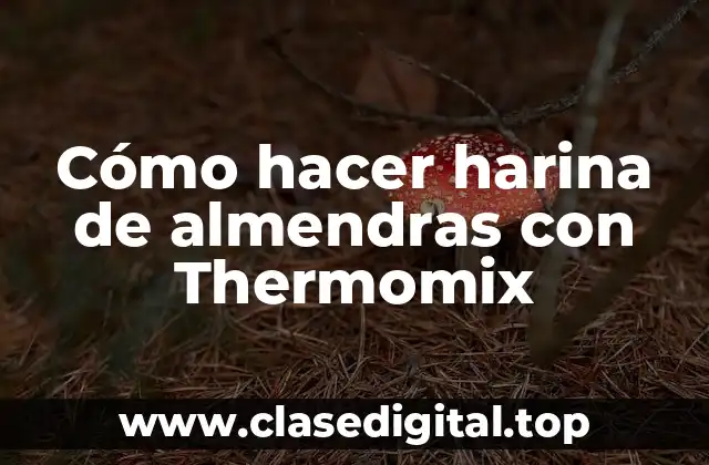 Harina de almendras con Thermomix: qué es y para qué sirve