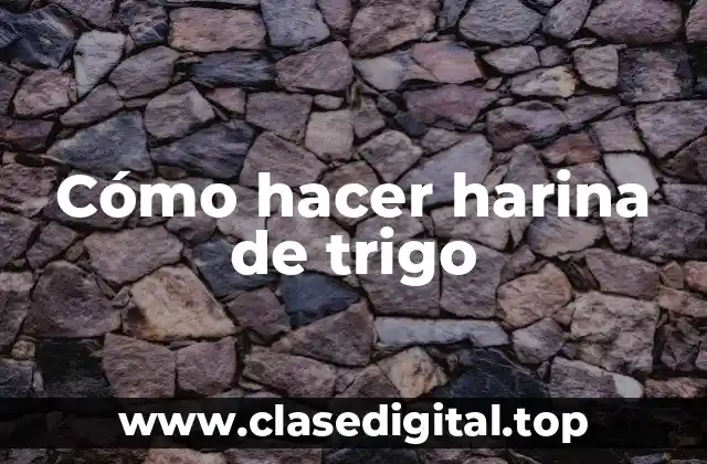 Cómo hacer harina de trigo