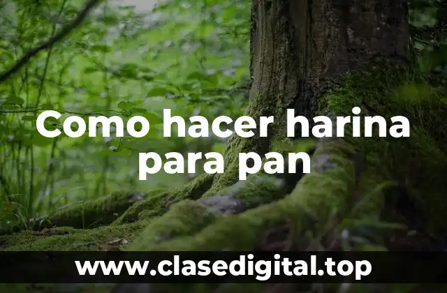 Como hacer harina para pan