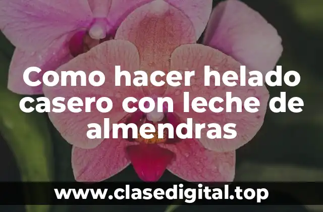 Como hacer helado casero con leche de almendras