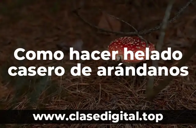 Como hacer helado casero de arándanos