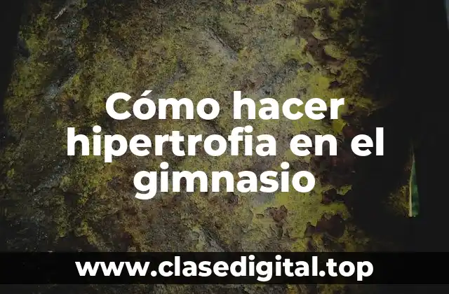 Cómo hacer hipertrofia en el gimnasio