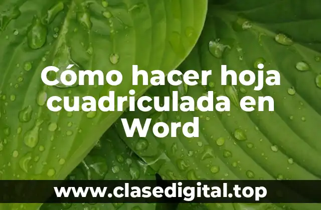 Cómo hacer hoja cuadriculada en Word