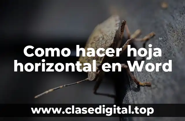 Como hacer hoja horizontal en Word