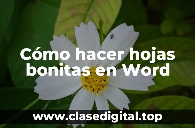 Cómo hacer hojas bonitas en Word