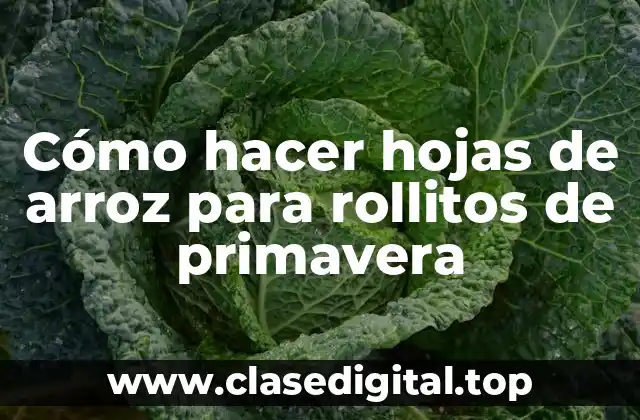 Las hojas de arroz para rollitos de primavera: qué son y cómo se usan