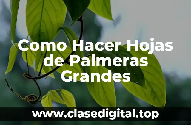 ¿Qué son las Hojas de Palmeras Grandes?