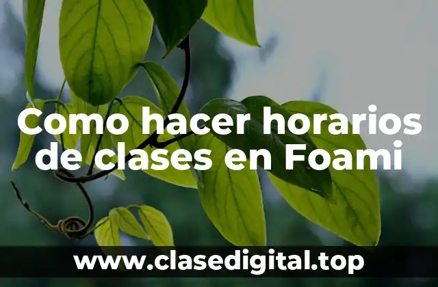 Como hacer horarios de clases en Foami