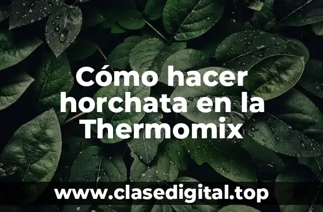Cómo hacer horchata en la Thermomix