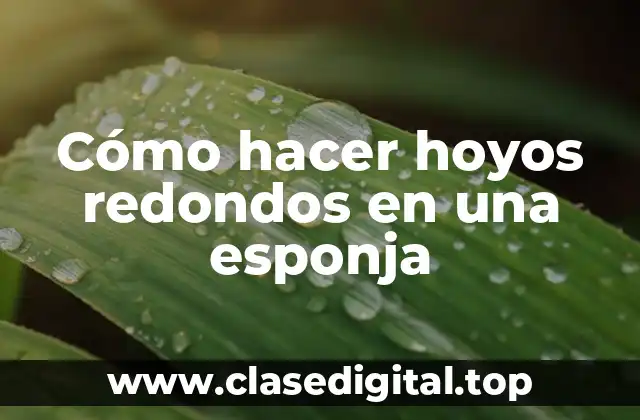 Cómo hacer hoyos redondos en una esponja