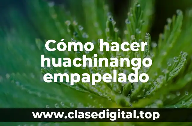 Cómo hacer huachinango empapelado